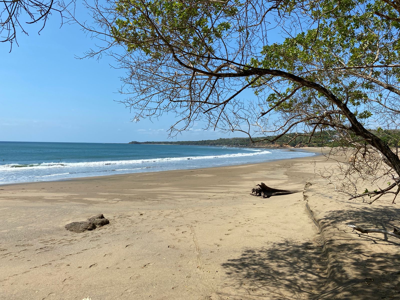 Leyaya Panama